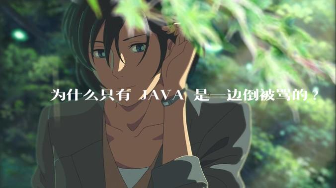 为什么只有 JAVA 是一边倒被骂的?