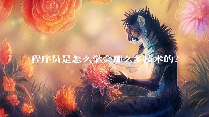 程序员是怎么学会那么多技术的？
