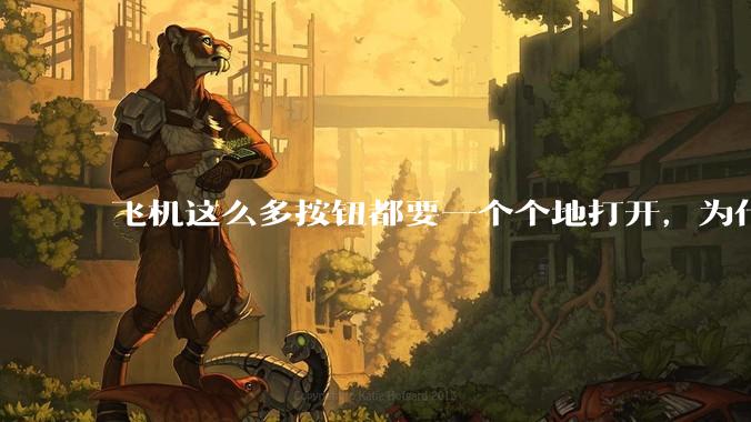 飞机这么多按钮都要一个个地打开，为什么不能一键启动？