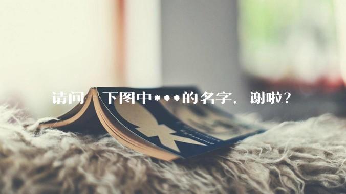 请问一下图中***的名字，谢啦？