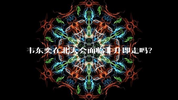 韦东奕在北大会面临非升即走吗？