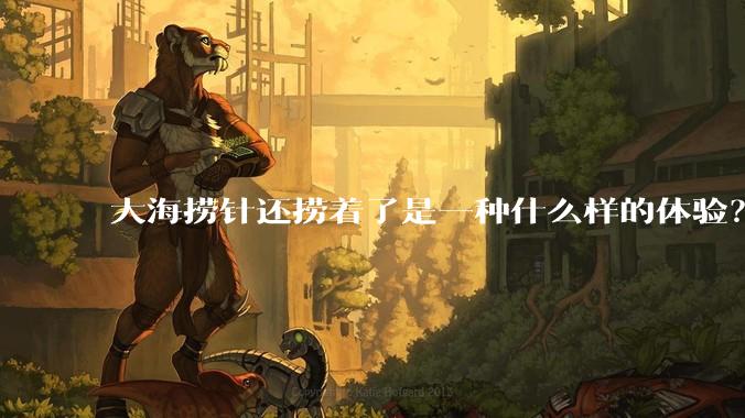 大海捞针还捞着了是一种什么样的体验？
