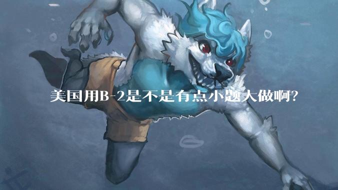 美国用B-2是不是有点小题大做啊？