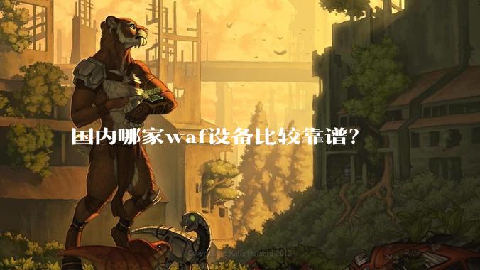 国内哪家waf设备比较靠谱？