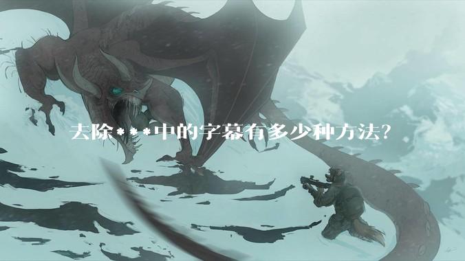 去除***中的字幕有多少种方法？
