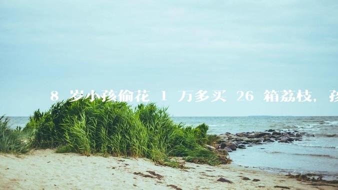 8 岁小孩偷花 1 万多买 26 箱荔枝，孩子父亲称在商品未发货时申请退款被拒，这合理吗？