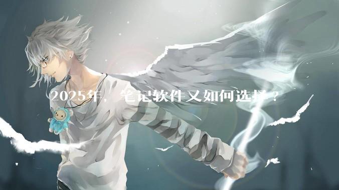 2025年，笔记软件又如何选择?