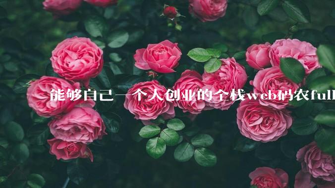 能够自己一个人创业的全栈web码农fullstack developer要会哪些技术？