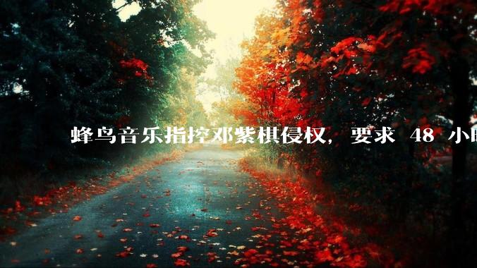 蜂鸟音乐指控邓紫棋侵权，要求 48 小时内下架重录歌曲，邓紫棋回应「不会下架」，这一指控合理吗？