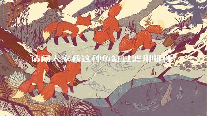 请问大家我这种鱼缸过滤用哪种？