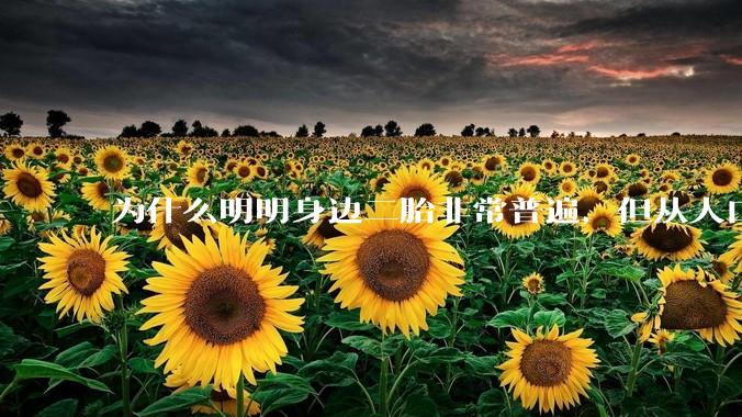 为什么明明身边二胎非常普遍，但从人口统计数据看，人口依然是在减少的？