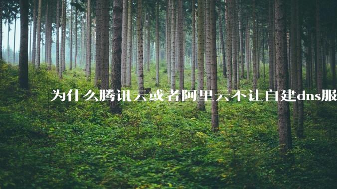 为什么腾讯云或者阿里云不让自建dns服务器?