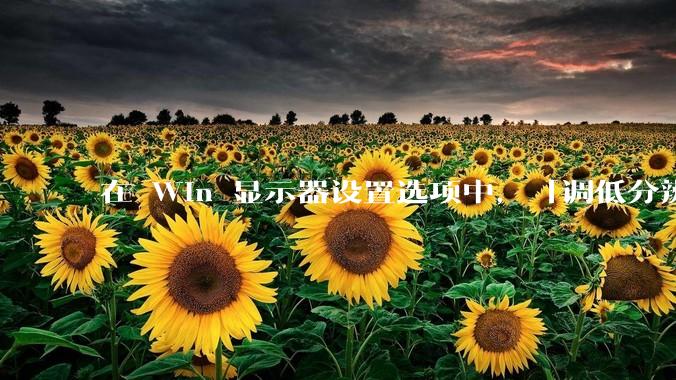 在 Win 显示器设置选项中，「调低分辨率」和「调高缩放比例」，哪个文字显示效果好一些？