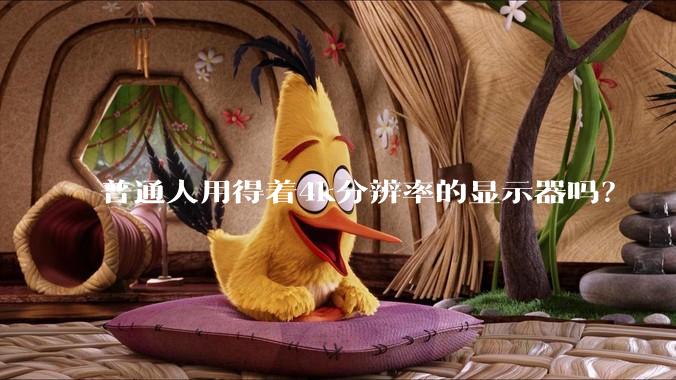 普通人用得着4k分辨率的显示器吗？