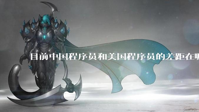 目前中国程序员和美国程序员的差距在哪里？